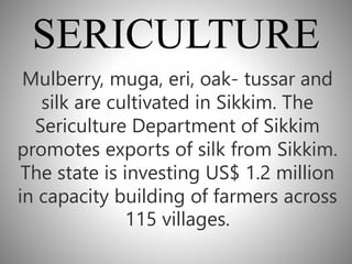 Sikkim buisness