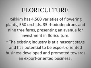 Sikkim buisness