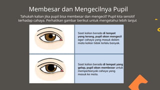 Upil Besar MELIHAT DENGAN CAHAYA INDERA PENGLIHATAN KELAS 5 SD | PPTX