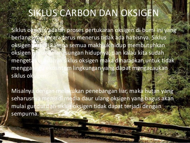 Siklus Carbon Dan Oksigen
