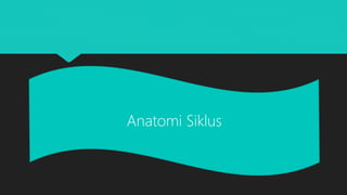 Anatomi Siklus
 