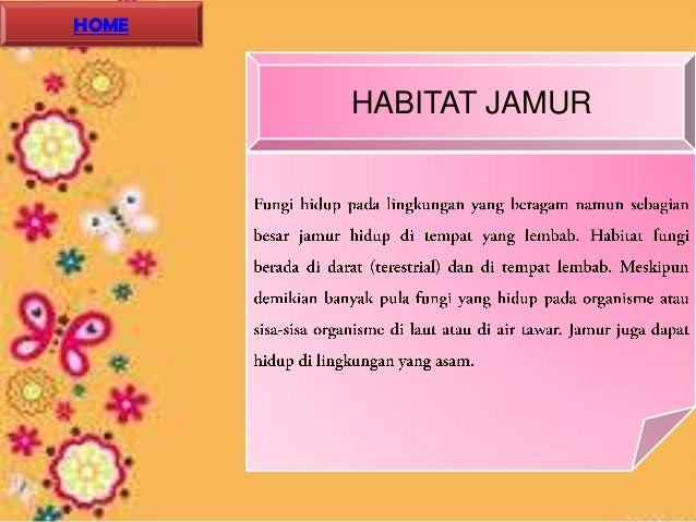 UAS Media dan Teknologi Siklus hidup dan reproduksi jamur 