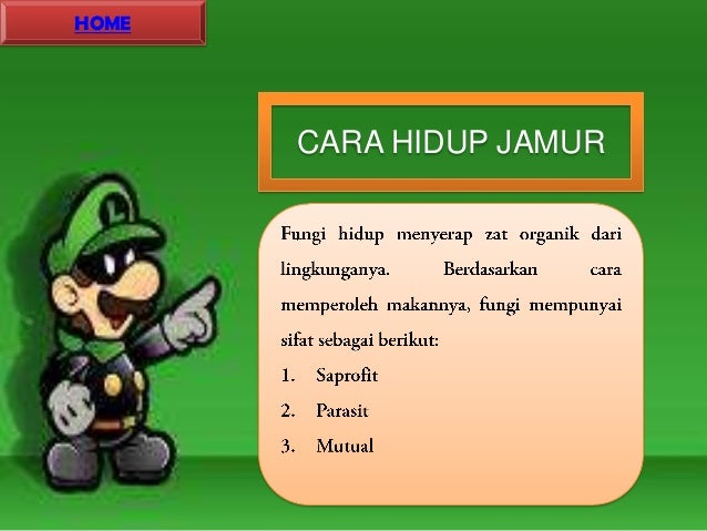 UAS Media dan Teknologi Siklus hidup dan reproduksi jamur 