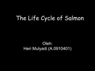 The Life Cycle of Salmon
Oleh:
Heri Mulyadi (A.0910401)
 
