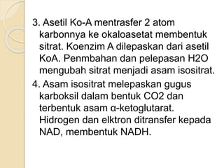 3. Asetil Ko-A mentrasfer 2 atom
karbonnya ke okaloasetat membentuk
sitrat. Koenzim A dilepaskan dari asetil
KoA. Penmbahan dan pelepasan H2O
mengubah sitrat menjadi asam isositrat.
4. Asam isositrat melepaskan gugus
karboksil dalam bentuk CO2 dan
terbentuk asam α-ketoglutarat.
Hidrogen dan elktron ditransfer kepada
NAD, membentuk NADH.
 