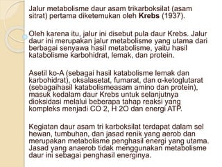 Jalur metabolisme daur asam trikarboksilat (asam
sitrat) pertama diketemukan oleh Krebs (1937).
Oleh karena itu, jalur ini disebut pula daur Krebs. Jalur
daur ini merupakan jalur metabolisme yang utama dari
berbagai senyawa hasil metabolisme, yaitu hasil
katabolisme karbohidrat, lemak, dan protein.
Asetil ko-A (sebagai hasil katabolisme lemak dan
karbohidrat), oksalasetat, fumarat, dan α-ketoglutarat
(sebagaihasil katabolismeasam amino dan protein),
masuk kedalam daur Krebs untuk selanjutnya
dioksidasi melalui beberapa tahap reaksi yang
kompleks menjadi CO 2, H 2O dan energi ATP.
Kegiatan daur asam tri karboksilat terdapat dalam sel
hewan, tumbuhan, dan jasad renik yang aerob dan
merupakan metabolisme penghasil energi yang utama.
Jasad yang anaerob tidak menggunakan metabolisme
daur ini sebagai penghasil energinya.
 
