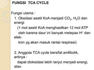 FUNGSI TCA CYCLE
Fungsi utama :
1. Oksidasi asetil KoA menjadi CO2, H2O dan
energi
(1 mol asetil KoA menghasilkan 12 mol ATP
oleh karena daur ini banyak melepas H+ dan
elek-
tron yg akan masuk rantai respirasi)
2. Anggota TCA cycle bersifat amfibolik,
artinya :
dapat dioksidasi lebih lanjut menjadi energi,
atau
 