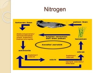 Siklus Materi Oksigen Karbon Nitrogen | PPTX