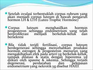 Setelah ovulasi terbentuklah corpus rubrum yang

akan menjadi corpus luteum di bawah pengaruh
hormon LH & LTH (Luteo Trophic Hormone)

Corpus

luteum
menghasilkan
hormon
progesteron sehingga endometrium yang telah
berproliferasi
menjadi
berkeluk-keluk
dan
bersekresi

Bila

tidak terjdi fertilisasi, corpus luteum
berdegenerasi sehingga menyebabkan produksi
hormon estrogen & progesteron menurun yang
mengakibatkan efek pada arteri yg berkeluk-keluk,
tampak dilatasi & statis dengan hiperemia yd
diikuti oleh spasme & iskemia. Sehingga terjadi
degenerasi,
perdarahan
dan
pelepasan
endometrium yang nekrotik yg disebut HAID.

 