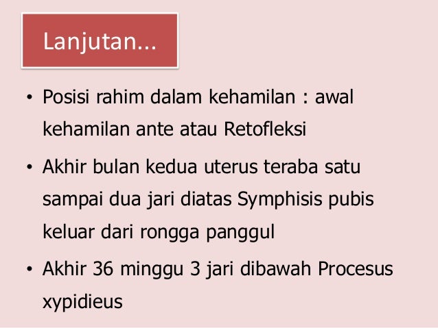 Siklus menstruasi dan fisiologi kehamilan