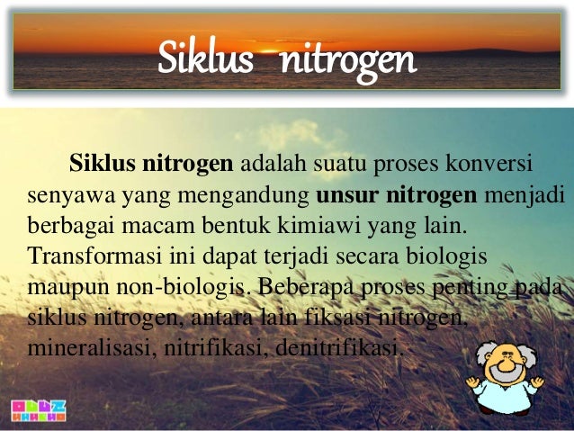 Siklus nitrogen