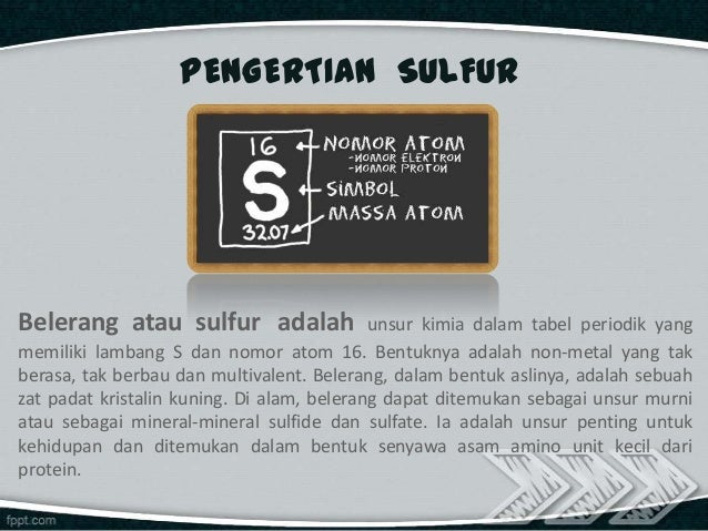 Siklus Sulfur Atau Belerang Siklus Sulfur Atau Belerang