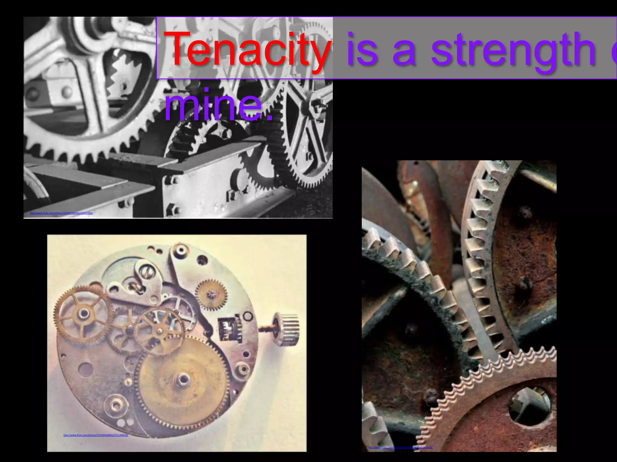 Tenacity is a strength o
mine.
http://www.flickr.com/photos/93993914@N00/232820568/

http://www.flickr.com/photos/27253992@N02/2711789618/

http://www.flickr.com/photos/26922258@N02/2813426012/

 