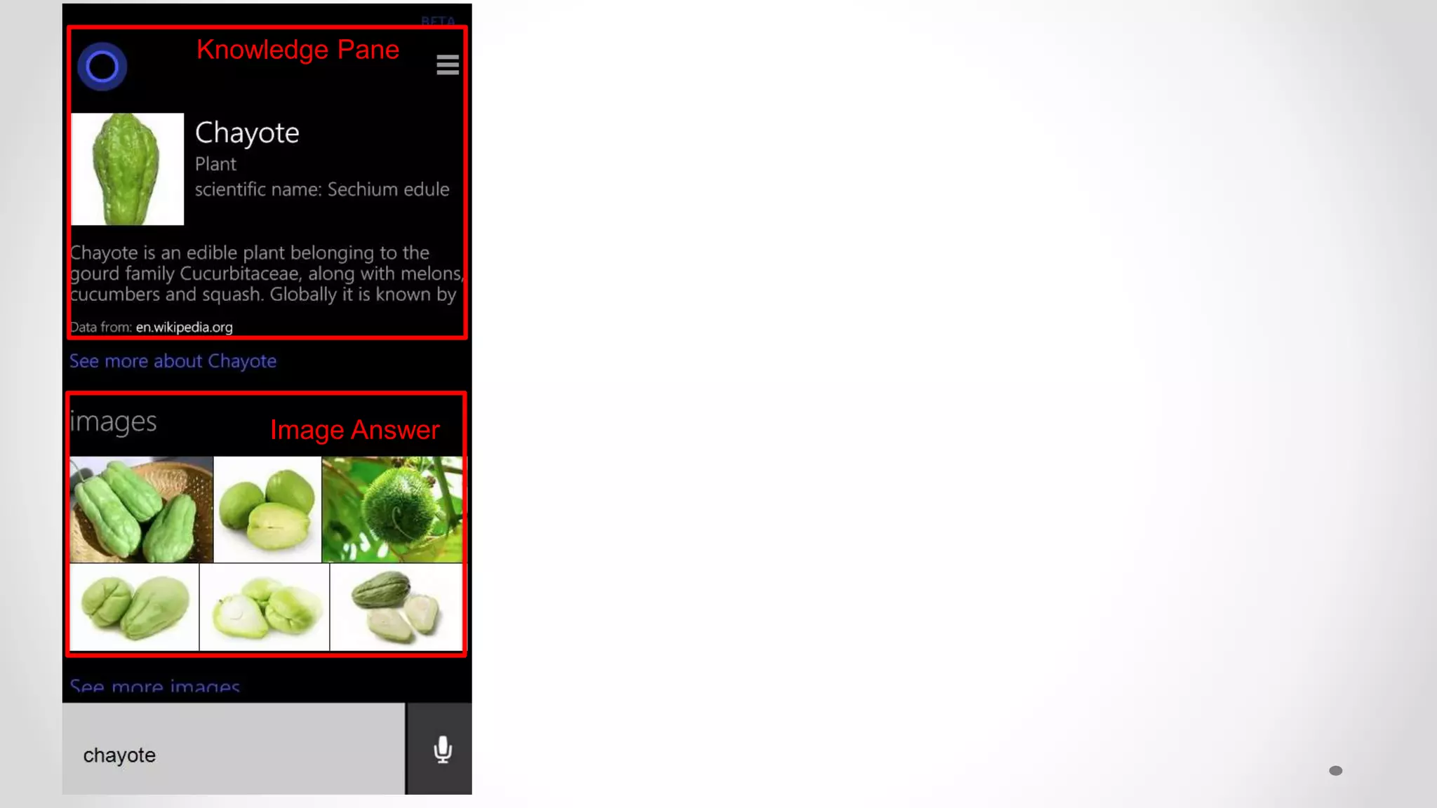 Knowledge Pane
Image Answer
 