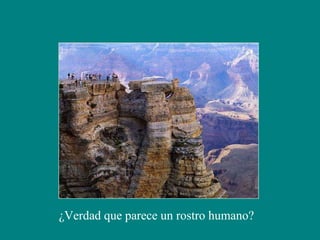 ¿Verdad que parece un rostro humano? 