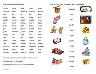 Lee las siguientes palabras:
Jaime Julio José Juan Jesús
Jimena Julia Josefina Juanita Javiera
ojo ajo ají eje oreja
jalea jabón jaula jaiba jarro
jarrón jamón jabalí jarabe jamás
jefe jerez jefatura jerarca jeque
jirafa jinete jirón jineta jíbaro
jota joven jornada joroba joropo
judía jubilado jueves juntar justo
abeja baja caja coja dejar
faja hoja lija lonja monja
paja piojo oveja quejar rojo
teja viejo almeja bandeja conejo
esponja cajones coraje madejas lentejas
perejil tejido tejer mojar jurar
toronja naranja naranjo dibujar ojota
Lee cada palabra, luego transcríbela en tu cuaderno.
Elige 8 y dibuja su significado.
Elige 6 y haz una oración con cada una de ellas.
Une el dibujo con la palabra que corresponda:
bandeja
jarro
caja
jamón
tejas
hojas
naranja
tejido
mojar
esponja
monja
jinete
CMD/2006
 