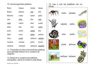 Elaborado por CMD/2006
10. Lee las siguientes palabras:
Ñoño ñoquis ñandú ñeque
Ñuble bañera uña eñe
Mamiña maña bañar paño
riña piña tiña niña
caña cañón leña sueño
baño tiñe ñato moño
puño otoño araña año
daño cuña señor señora
riñon puñal cáñamo cabaña
muñeca cuñada piñón chuño
mañana meñique añañuca pestaña
11. Transcribe con letra manuscrita las palabras
de la actividad anterior en tu cuaderno de
caligrafía
12. Dibuja en tu cuaderno las palabras
subrayadas, coloca el nombre a cada dibujo
13. Lee y une las palabras con su
dibujo.
moño pañales
cabaña otoño
piña araña
puñal piñones
meñique bañarse
 