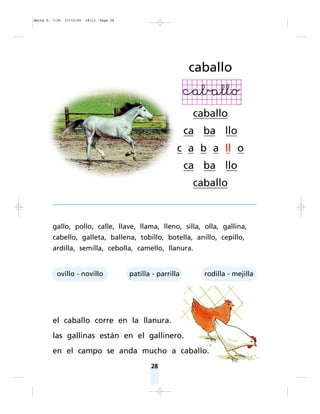 28
gallo, pollo, calle, llave, llama, lleno, silla, olla, gallina,
cabello, galleta, ballena, tobillo, botella, anillo, cepillo,
ardilla, semilla, cebolla, camello, llanura.
el caballo corre en la llanura.
las gallinas están en el gallinero.
en el campo se anda mucho a caballo.
caballo
caballo
ca ba llo
c a b a ll o
ca ba llo
caballo
ovillo - novillo patilla - parrilla rodilla - mejilla
Matte P. 7-35 27/12/05 18:13 Page 28
 