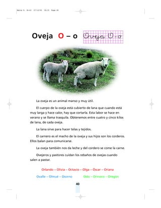 40
La oveja es un animal manso y muy útil.
El cuerpo de la oveja está cubierto de lana que cuando está
muy larga y hace calor, hay que cortarla. Esta labor se hace en
verano y se llama trasquila. Obtenemos entre cuatro y cinco kilos
de lana, de cada oveja.
La lana sirve para hacer telas y tejidos.
El carnero es el macho de la oveja y sus hijos son los corderos.
Ellos balan para comunicarse.
La oveja también nos da leche y del cordero se come la carne.
Ovejeros y pastores cuidan los rebaños de ovejas cuando
salen a pastar.
Orlando – Olivia – Octavio – Olga – Óscar – Oriana
Ovalle – Olmué – Osorno Oslo – Orinoco – Oregón
Oveja O – o
Matte P. 36-61 27/12/05 18:15 Page 40
 
