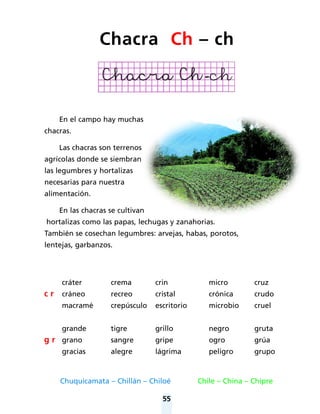55
En el campo hay muchas
chacras.
Las chacras son terrenos
agrícolas donde se siembran
las legumbres y hortalizas
necesarias para nuestra
alimentación.
En las chacras se cultivan
hortalizas como las papas, lechugas y zanahorias.
También se cosechan legumbres: arvejas, habas, porotos,
lentejas, garbanzos.
Chuquicamata – Chillán – Chiloé Chile – China – Chipre
cráter crema crin micro cruz
c r cráneo recreo cristal crónica crudo
macramé crepúsculo escritorio microbio cruel
grande tigre grillo negro gruta
g r grano sangre gripe ogro grúa
gracias alegre lágrima peligro grupo
Chacra Ch – ch
 