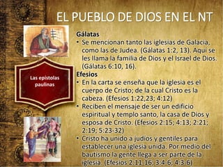 EL PUEBLO DE DIOS EN EL NT
Gálatas
• Se mencionan tanto las iglesias de Galacia,
como las de Judea. (Gálatas 1:2, 13). Aquí se
les llama la familia de Dios y el Israel de Dios.
(Gálatas 6:10, 16).
Efesios
• En la carta se enseña que la iglesia es el
cuerpo de Cristo; de la cual Cristo es la
cabeza. (Efesios 1:22,23; 4:12)
• Reciben el mensaje de ser un edificio
espiritual y templo santo, la casa de Dios y
esposa de Cristo. (Efesios 2:15; 4:13; 2:21;
2:19; 5:23-32)
• Cristo ha unido a judíos y gentiles para
establecer una iglesia unida. Por medio del
bautismo la gente llega a ser parte de la
iglesia. (Efesios 2:11-16; 3:4-6; 4:3-6)
Las epístolas
paulinas
 
