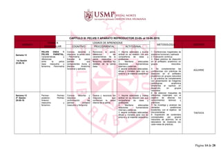 CAPÍTULO III: PELVIS Y APARATO REPRODUCTOR 23-05- al 15-06-2015.
UNIDAD I
TEMAS A
DESARROLLAR
LOGROS DE APRENDIZAJE
METODOLOGIA DOCENTE
COGNITIVO PROCEDIMENTAL ACTITUDINAL
Semana 13
1ra Sesión
23-05-16
PELVIS OSEA Y
PELVIS PARIETAL,
Características y
diferencias
entre la pelvis
ósea masculina y
femenina. Pelvimetría
Conoce, describe y
relaciona la pelvis ósea
– Pelvimetría.
Estudiar la pelvis
parietal, sus
componentes duros y
blandos. Anatomía
funcional y aplicada.
Reconoce la pelvis,
diferencia las
características de la
pelvis masculina y
femenina, identifica los
detalles de la pelvis
ósea.
1. Asume adecuada y buena
actitud en su relación con sus
compañeros de clase y
profesores.
2. Mantiene adecuadas
relaciones humanísticas
internas y externas.
3. asume actitudes adecuadas,
éticas y morales para con su
entorno y el material cadavérico
1. Conferencias magistrales de
anatomía funcional y aplicada
2. Evaluación continua.
3. Clase práctica de disección
en el anfiteatro anatómico en
grupos reducidos.
4. Se complementan las
conferencias con prácticas de
disección en el anfiteatro
anatómico en grupos reducidos
5. La práctica se complementa
con presentación de imágenes
radiológicas anatómica
inherentes al capítulo en
desarrollo, en grupos
reducidos.
6. Se elaboran maquetas de
diferentes materiales con el
objetivo de afianzar los
conocimientos teóricos y
prácticos.
7. Se investiga y analizan las
variables anatómicas
existentes, con el objetivo de
documentarlas.
8. Exposición de contenidos
conceptuales por grupos
reducidos de alumnos, en el
laboratorio de Anatomía (en
cada mesa de práctica).
AGUIRRE
Semana 13
2ª. Sesión
25-05-16
Perineo: Perineo
posterior; Perineo
Anterior:
masculino y
femenino
Conoce, describe y
relaciona la
conformación del
perineo pelviano
masculino y femenino
Diseca y reconoce los
músculos que
conforman la pared
interna de la pelvis.
1. Asume adecuada y buena
actitud en su relación con sus
compañeros de clase y
profesores.
2. Mantiene adecuadas
relaciones humanísticas
internas y externas.
3. asume actitudes adecuadas,
éticas y morales para con su
entorno y el material cadavérico
TINTAYA
Página 14 de 28
 