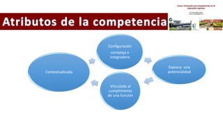 Configuración
compleja e
integradora
Expresa una
potencialidad
Vinculada al
cumplimiento
de una función
Contextualizada
 