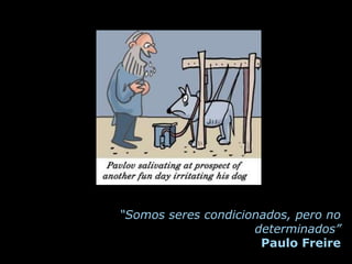 “Somos seres condicionados, pero no
                     determinados”
                      Paulo Freire
 