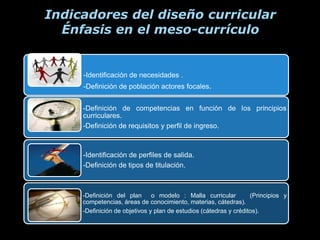 Indicadores del diseño curricular
  Énfasis en el meso-currículo


     -Identificación de necesidades .
     -Definición de población actores focales.


     -Definición de competencias en función de los principios
     curriculares.
     -Definición de requisitos y perfil de ingreso.



     -Identificación de perfiles de salida.
     -Definición de tipos de titulación.



     -Definición del plan      o modelo : Malla curricular         (Principios y
     competencias, áreas de conocimiento, materias, cátedras).
     -Definición de objetivos y plan de estudios (cátedras y créditos).
 