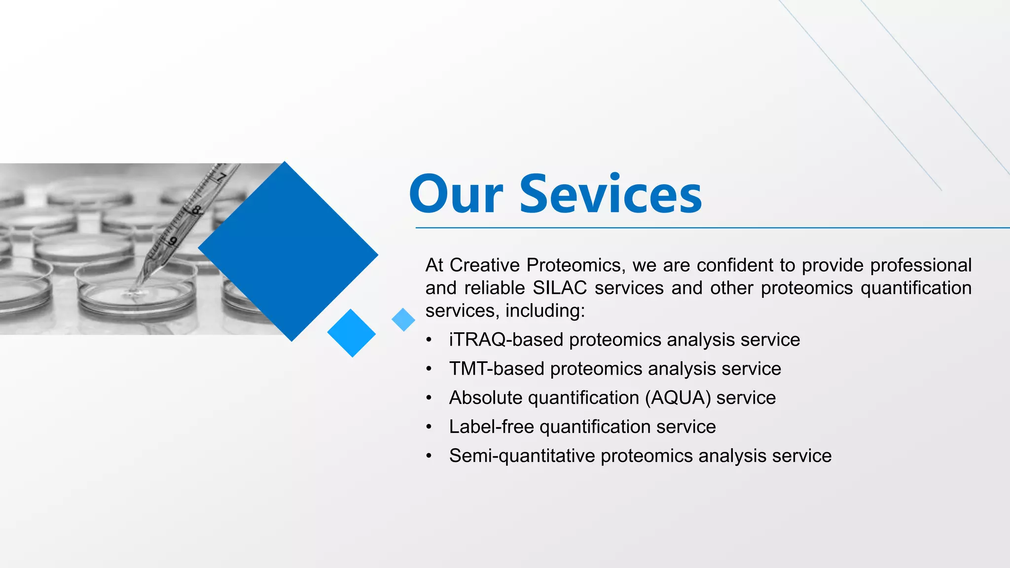 Our Sevices
At Creative Proteomics, we are confident to provide professional
and reliable SILAC services and other proteomics quantification
services, including:
• iTRAQ-based proteomics analysis service
• TMT-based proteomics analysis service
• Absolute quantification (AQUA) service
• Label-free quantification service
• Semi-quantitative proteomics analysis service
 