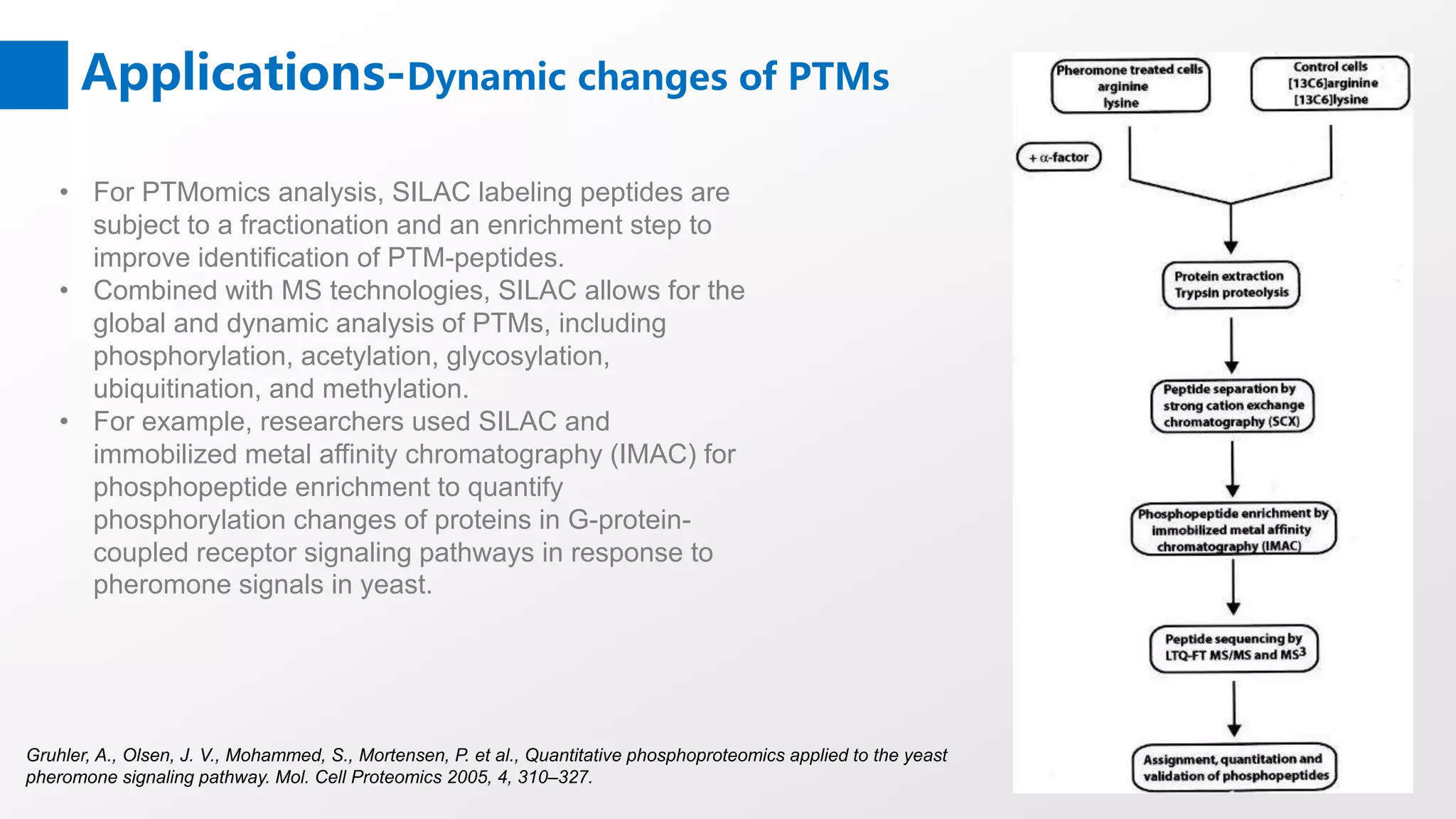 Applications-Dynamic changes of PTMs
• For PTMomics analysis, SILAC labeling peptides are
subject to a fractionation and an enrichment step to
improve identification of PTM-peptides.
• Combined with MS technologies, SILAC allows for the
global and dynamic analysis of PTMs, including
phosphorylation, acetylation, glycosylation,
ubiquitination, and methylation.
• For example, researchers used SILAC and
immobilized metal affinity chromatography (IMAC) for
phosphopeptide enrichment to quantify
phosphorylation changes of proteins in G-protein-
coupled receptor signaling pathways in response to
pheromone signals in yeast.
Gruhler, A., Olsen, J. V., Mohammed, S., Mortensen, P. et al., Quantitative phosphoproteomics applied to the yeast
pheromone signaling pathway. Mol. Cell Proteomics 2005, 4, 310–327.
 