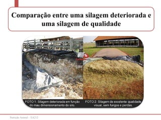 Nutrição Animal – EA212
Comparação entre uma silagem deteriorada e
uma silagem de qualidade
 
