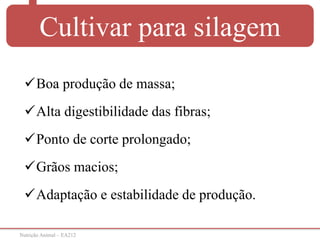 Nutrição Animal – EA212
Cultivar para silagem
Boa produção de massa;
Alta digestibilidade das fibras;
Ponto de corte prolongado;
Grãos macios;
Adaptação e estabilidade de produção.
 