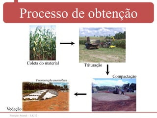Nutrição Animal – EA212
Processo de obtenção
Coleta do material Trituração
Compactação
Vedação
Fermentação anaeróbica
 