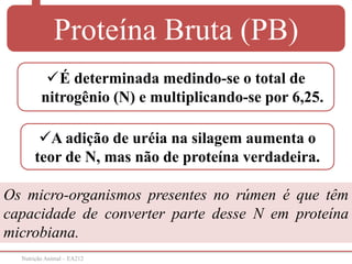 Nutrição Animal – EA212
Proteína Bruta (PB)
É determinada medindo-se o total de
nitrogênio (N) e multiplicando-se por 6,25.
Os micro-organismos presentes no rúmen é que têm
capacidade de converter parte desse N em proteína
microbiana.
A adição de uréia na silagem aumenta o
teor de N, mas não de proteína verdadeira.
 