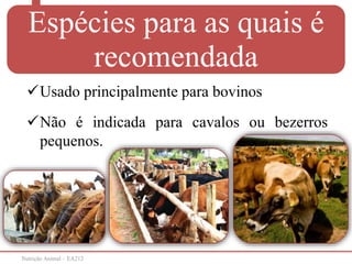 Nutrição Animal – EA212
Usado principalmente para bovinos
Não é indicada para cavalos ou bezerros
pequenos.
Espécies para as quais é
recomendada
 