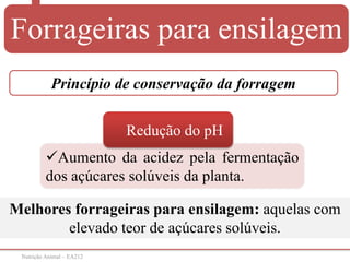 Nutrição Animal – EA212
Aumento da acidez pela fermentação
dos açúcares solúveis da planta.
Redução do pH
Princípio de conservação da forragem
Melhores forrageiras para ensilagem: aquelas com
elevado teor de açúcares solúveis.
Forrageiras para ensilagem
 