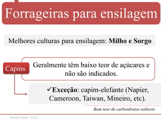 Nutrição Animal – EA212
Exceção: capim-elefante (Napier,
Cameroon, Taiwan, Mineiro, etc).
Geralmente têm baixo teor de açúcares e
não são indicados.
Melhores culturas para ensilagem: Milho e Sorgo
Capins
Bom teor de carboidratos solúveis
Forrageiras para ensilagem
 