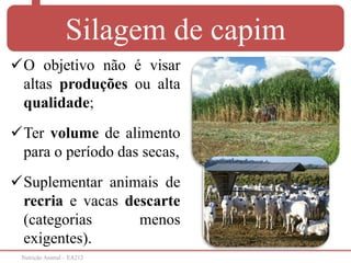 Nutrição Animal – EA212
Silagem de capim
O objetivo não é visar
altas produções ou alta
qualidade;
Ter volume de alimento
para o período das secas,
Suplementar animais de
recria e vacas descarte
(categorias menos
exigentes).
 