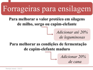 Nutrição Animal – EA212
Adicionar 20%
de cana
Para melhorar o valor protéico em silagens
de milho, sorgo ou capim-elefante
Adicionar até 20%
de leguminosas
Para melhorar as condições de fermentação
de capim-elefante maduro
Forrageiras para ensilagem
 