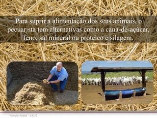 Nutrição Animal – EA212
Para suprir a alimentação dos seus animais, o
pecuarista tem alternativas como a cana-de-açúcar,
feno, sal mineral ou proteico e silagem.
 