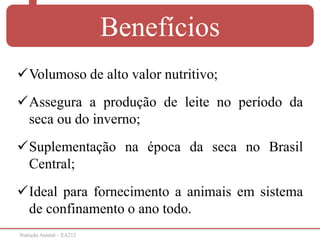Nutrição Animal – EA212
Benefícios
Volumoso de alto valor nutritivo;
Assegura a produção de leite no período da
seca ou do inverno;
Suplementação na época da seca no Brasil
Central;
Ideal para fornecimento a animais em sistema
de confinamento o ano todo.
 