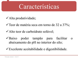 Nutrição Animal – EA212
Características
Alta produtividade;
Teor de matéria seca em torno de 32 a 37%;
Alto teor de carboidrato solúvel;
Baixo poder tampão para facilitar o
abaixamento do pH no interior do silo;
Excelente aceitabilidade e digestibilidade.
 