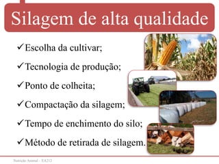 Nutrição Animal – EA212
Silagem de alta qualidade
Escolha da cultivar;
Tecnologia de produção;
Ponto de colheita;
Compactação da silagem;
Tempo de enchimento do silo;
Método de retirada de silagem.
 