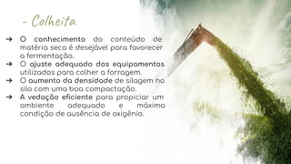 ➔ O conhecimento do conteúdo de
matéria seca é desejável para favorecer
a fermentação.
➔ O ajuste adequado dos equipamentos
utilizados para colher a forragem.
➔ O aumento da densidade de silagem no
silo com uma boa compactação.
➔ A vedação eﬁciente para propiciar um
ambiente adequado e máxima
condição de ausência de oxigênio.
 