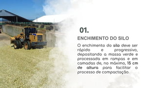 ENCHIMENTO DO SILO
01.
O enchimento do silo deve ser
rápido e progressivo,
depositando a massa verde e
processada em rampas e em
camadas de, no máximo, 15 cm
de altura para facilitar o
processo de compactação.
 