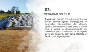 VEDAÇÃO DO SILO
03.
A vedação do silo é fundamental para
evitar fermentações indesejáveis e
descartes obrigatórios de silagem
após sua abertura, o que eleva o custo
ﬁnal e reduz a disponibilidade de
alimentos para o rebanho. A forragem
deve ser coberta com lona plástica e
ﬁxada com algum peso.
 