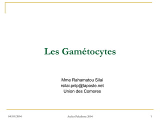 Les Gamétocytes

                Mme Rahamatou Silai
                rsilai.pnlp@laposte.net
                  Union des Comores




04/05/2004         Atelier Paludisme 2004   1
 
