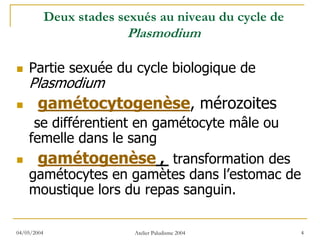Deux stades sexués au niveau du cycle de
                          Plasmodium

    Partie sexuée du cycle biologique de
    Plasmodium
        gamétocytogenèse, mérozoites
     se différentient en gamétocyte mâle ou
    femelle dans le sang
      gamétogenèse , transformation des
    gamétocytes en gamètes dans l’estomac de
    moustique lors du repas sanguin.

04/05/2004                  Atelier Paludisme 2004      4
 