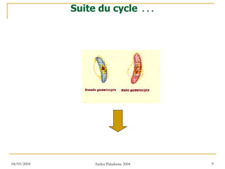 Suite du cycle                …




04/05/2004        Atelier Paludisme 2004       9
 